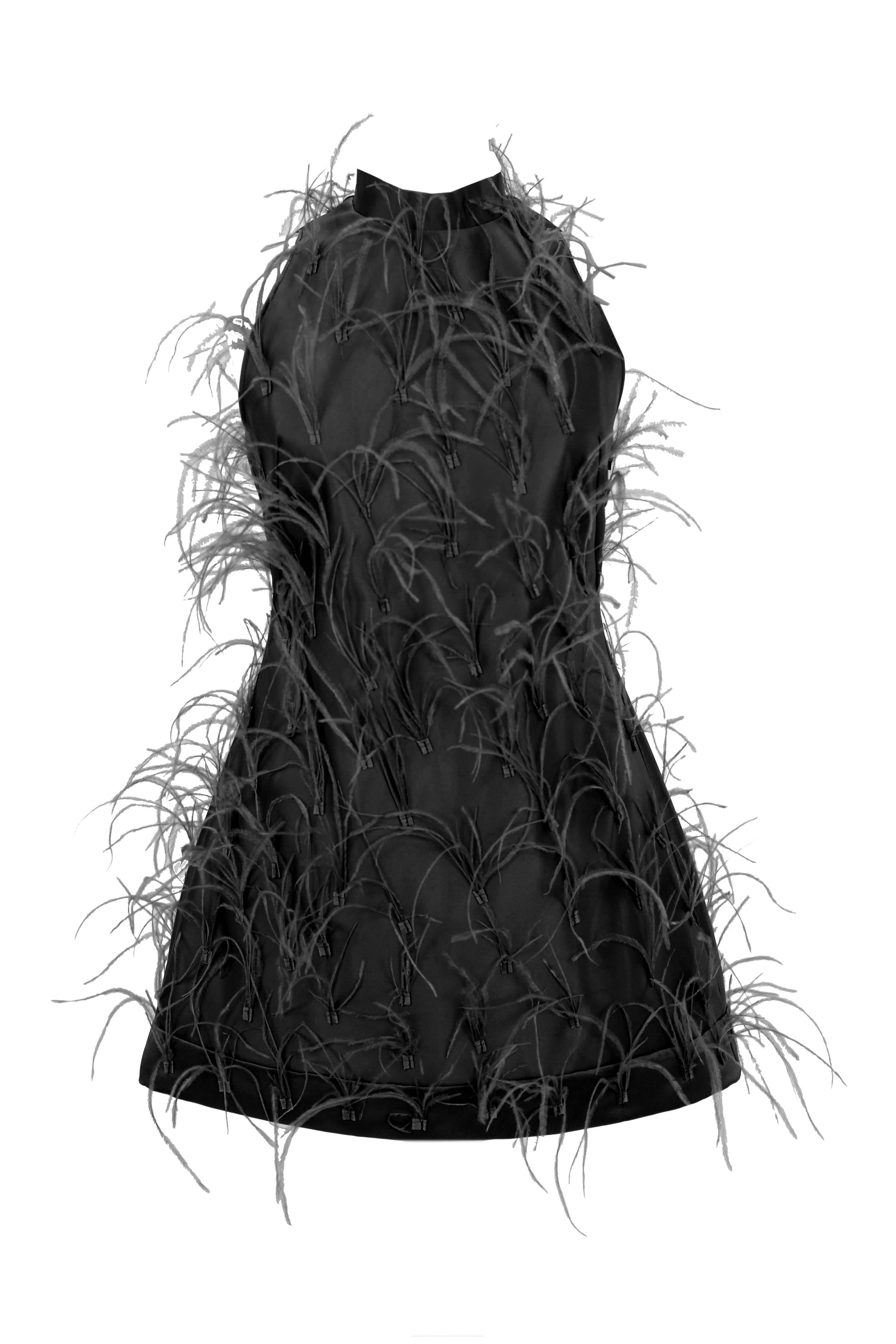 R23101 - BLACK 01 - ALMEEA black mini dress with feathers - AMBAR STUDIO