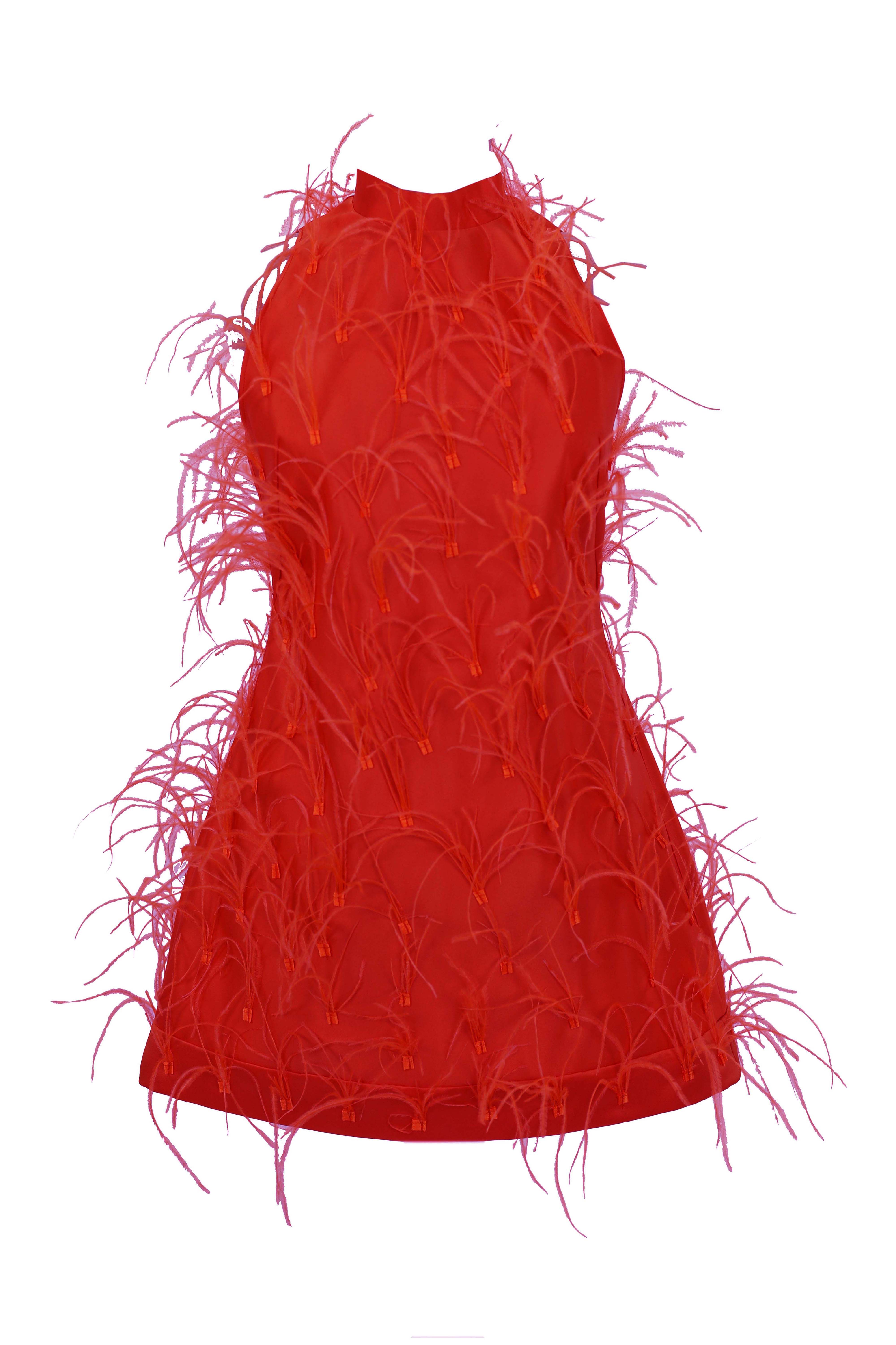 R23101 - RED 01 - ALMEEA red mini dress with feathers - AMBAR STUDIO